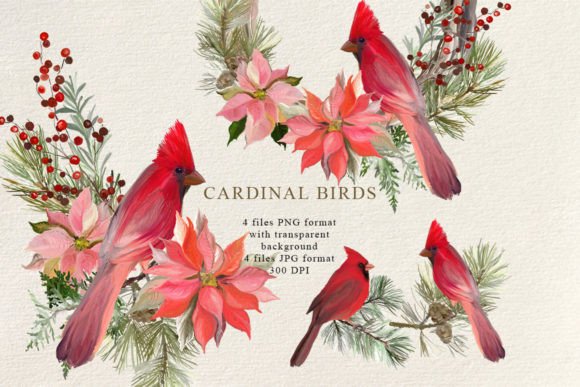 Christmas Decor Cardinal Birds Illustrations Review
