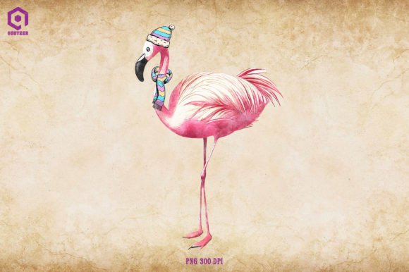 Flamingo Cozy Christmas Illustrations Review